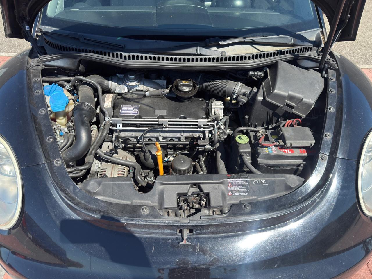 Volkswagen New Beetle 1.9 TDI 105CV