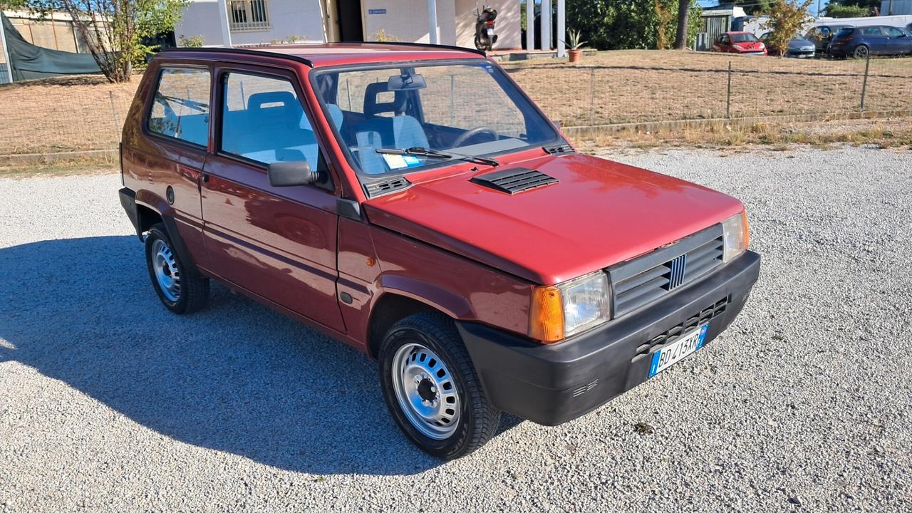 Fiat Panda 900 i.e. cat Young
