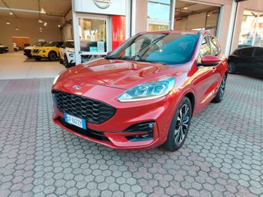 Ford Kuga 1.5 EcoBlue 120 CV aut. 2WD ST-Line X Design