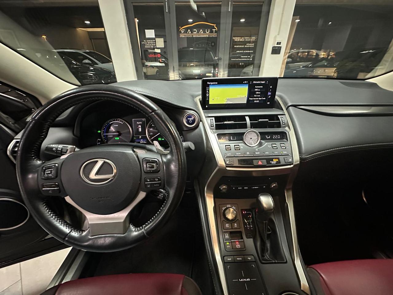 Lexus NX 300h Executive NX 300h HEV #8712