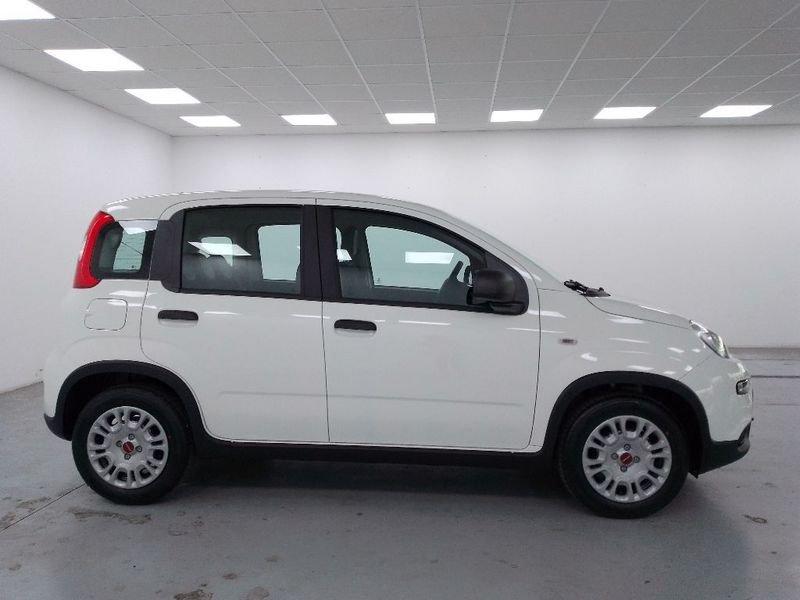 FIAT Panda 1.0 firefly hybrid s&s 70cv 5p.ti