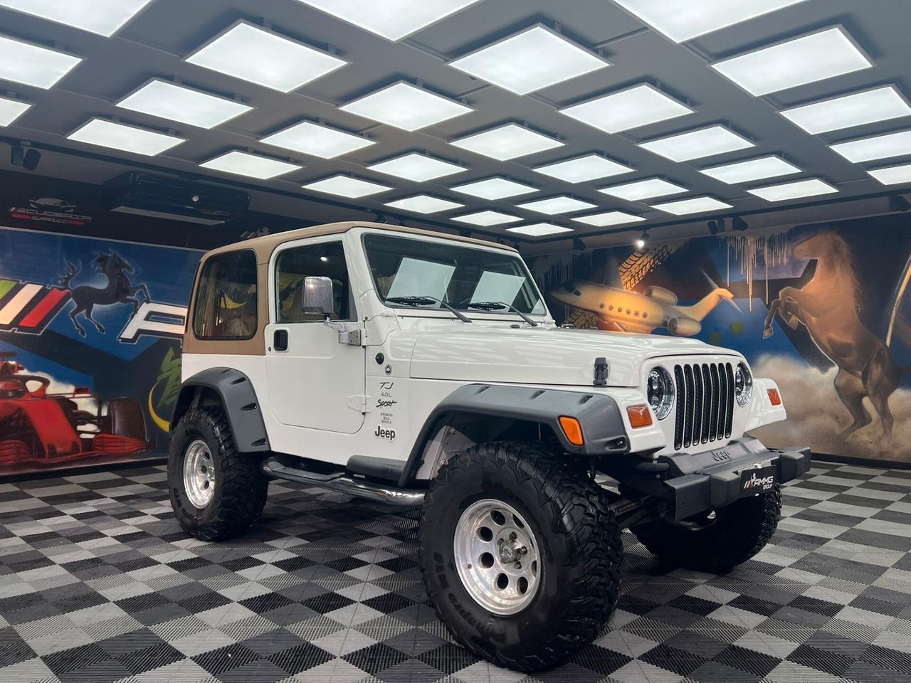 Jeep Wrangler TJ Hard Top 4.0 (441)