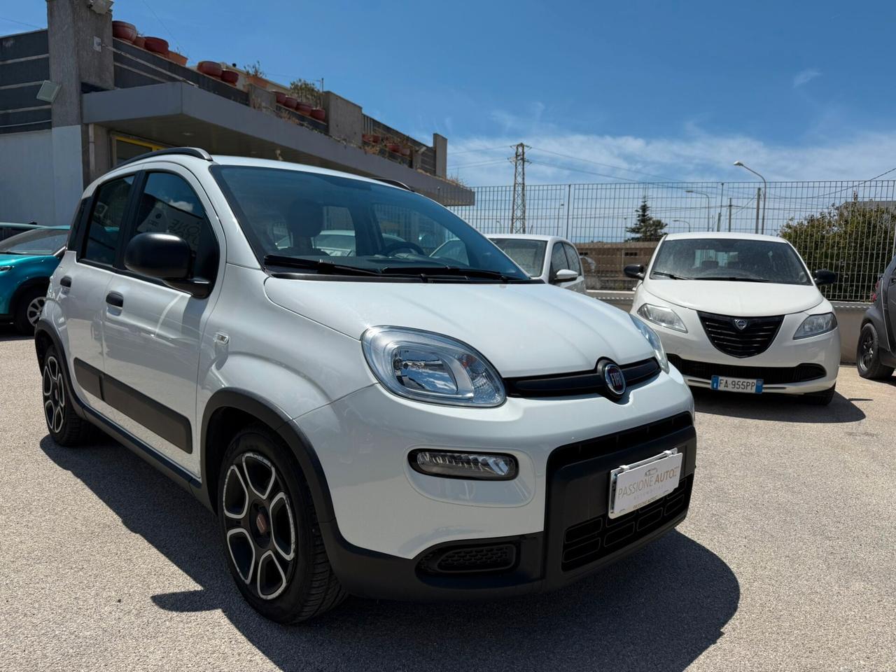 Fiat Panda 1.0 FireFly 70 CV S&S Hybrid Sport