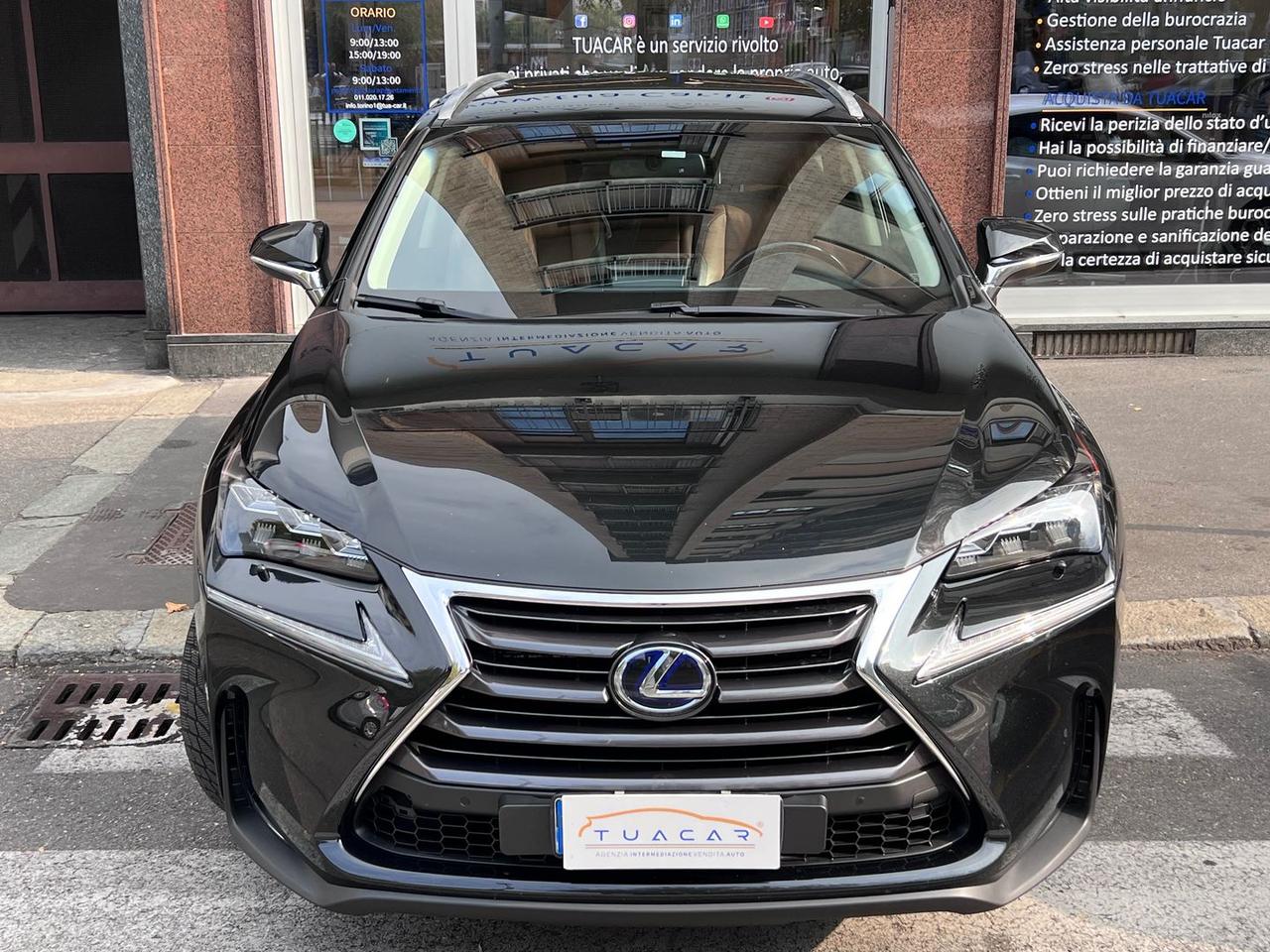 Lexus NX 300h Luxury NX 300h HEV #7331