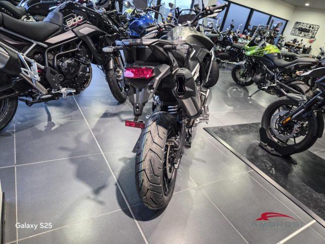 TRIUMPH Tiger 900 Rally Pro