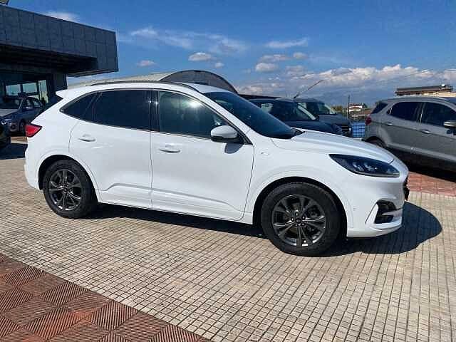 Ford Kuga 1.5 EcoBlue 120 CV 2WD ST-Line