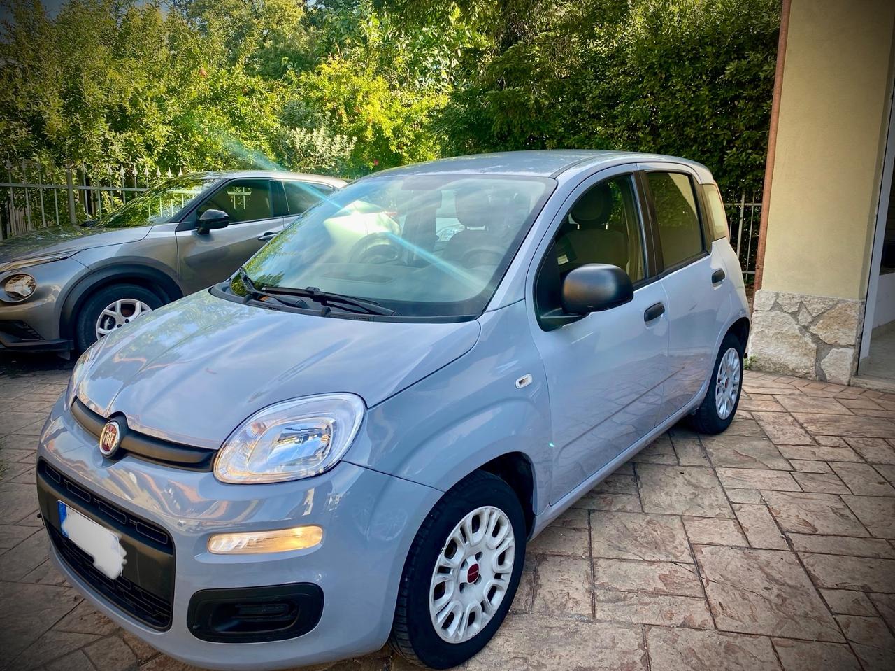 Fiat Panda 1.2 EasyPower Easy
