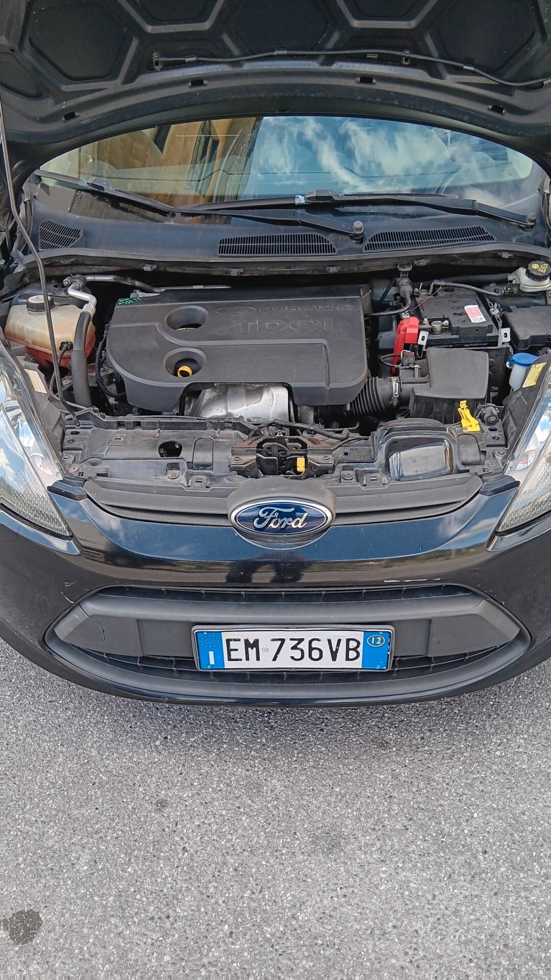 Ford Fiesta 1.4 TDCi 70CV 5 porte Titanium