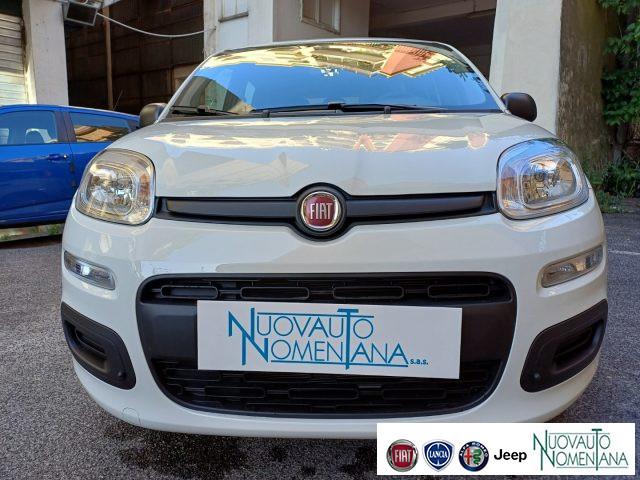 FIAT Panda 1.0 FireFly S&S Hybrid Icon 5°Posto Auto Nuova