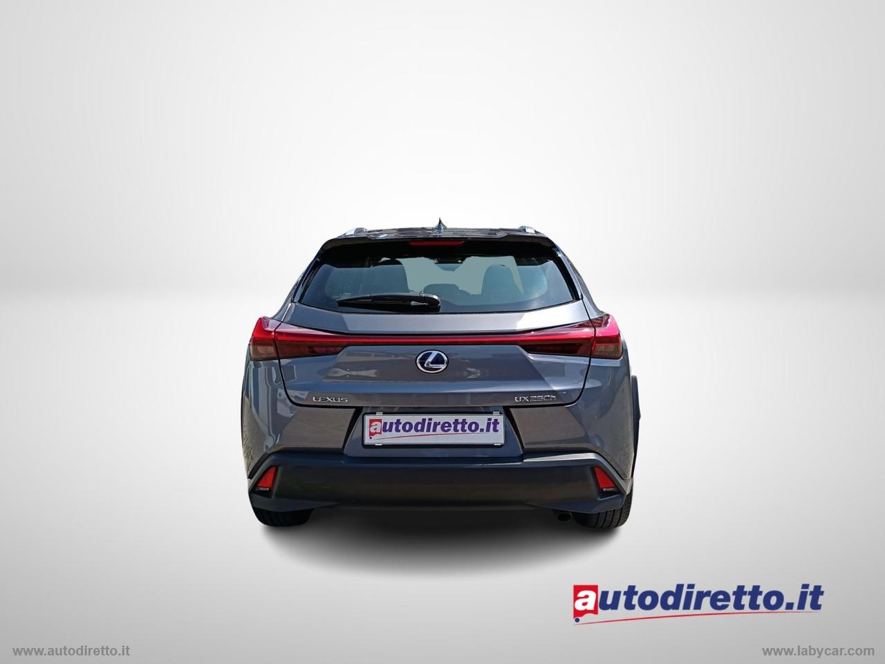 LEXUS UX Hybrid Business