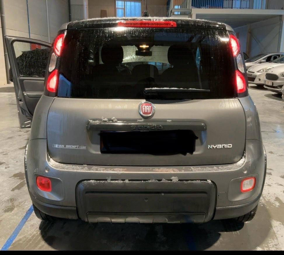 Fiat Panda 1.0 FireFly Hybrid Sport -Km52000-