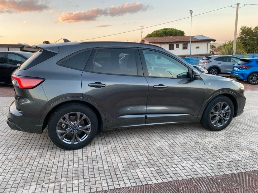 Ford Kuga 1.5 EcoBlue 120 CV 2WD ST-Line