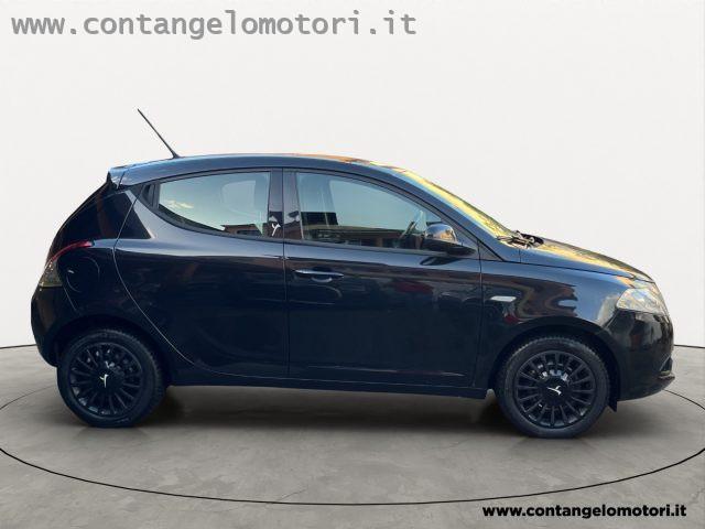 LANCIA Ypsilon 1.2 69 CV 5 porte Elefantino