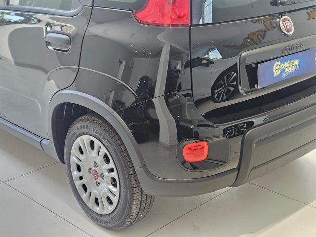 FIAT Panda 1.0 FireFly S&S Hybrid tua da ?139,00 mensili