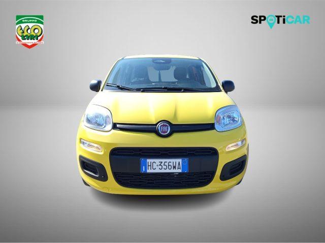 FIAT Panda 1.0 FireFly S&S Hybrid Pop