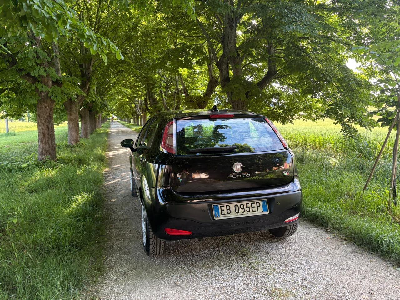 Fiat Punto Evo 1.4 5 porte Natural Power