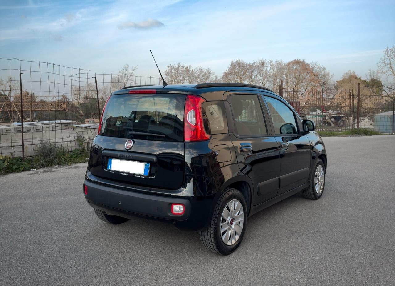 Fiat Panda 1.2 Lounge 70 cv Neopatentati 5 posti