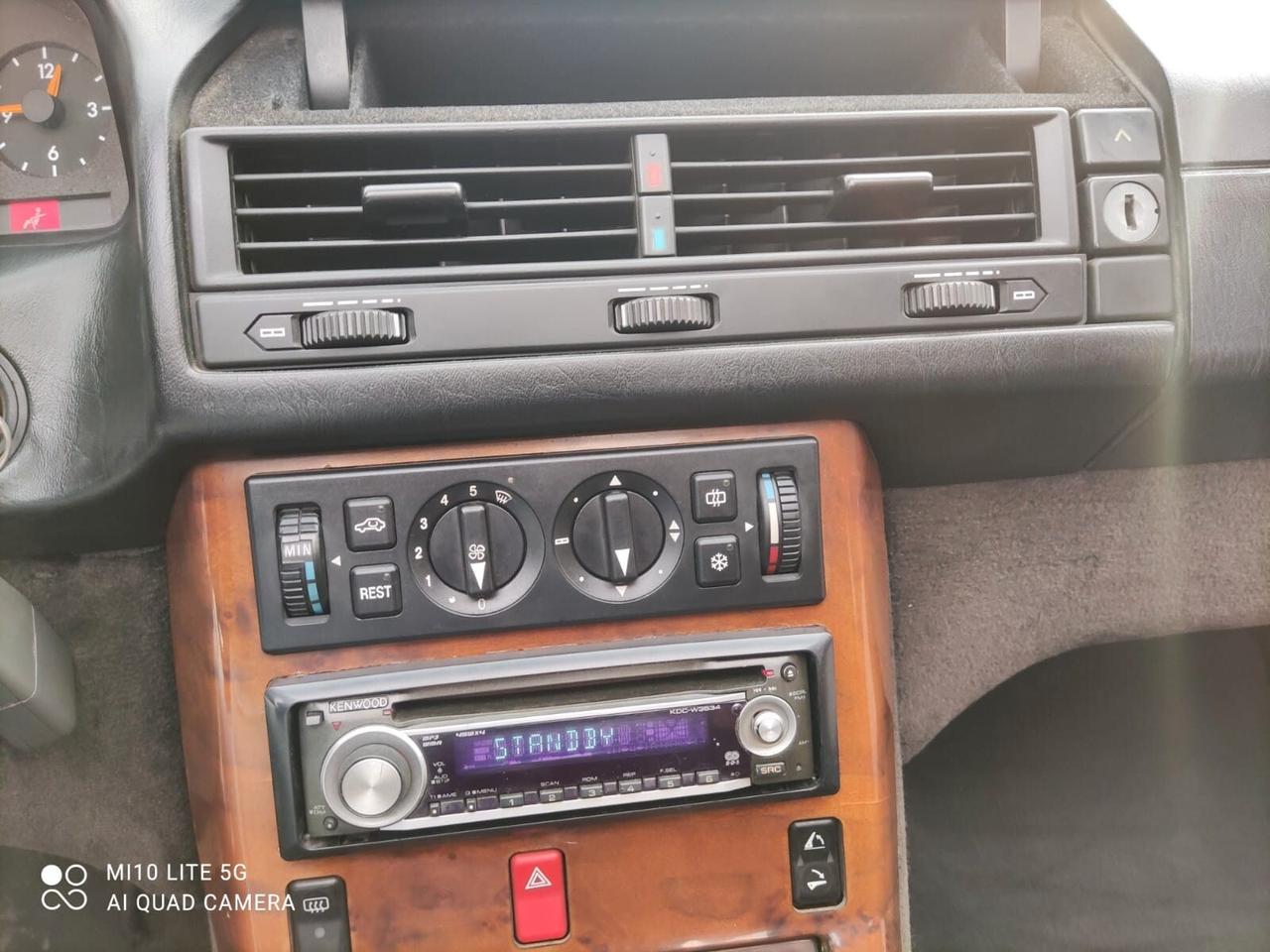 Mercedes-benz SL 300 SL-24 cat