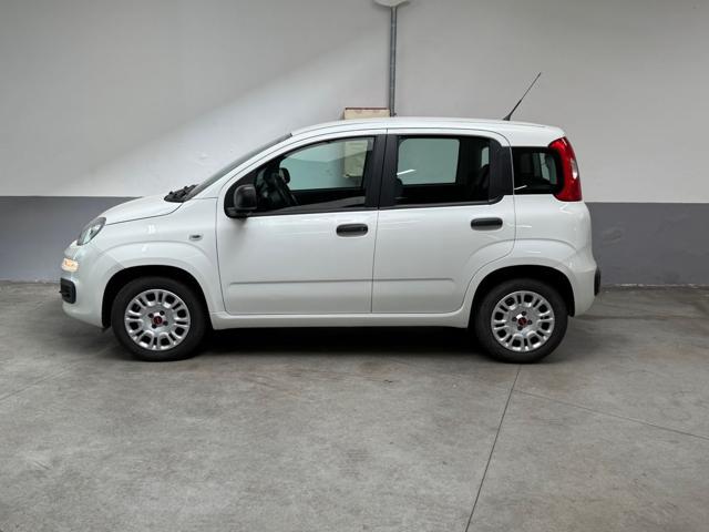 FIAT Panda 1.2 Easy 5 POSTI