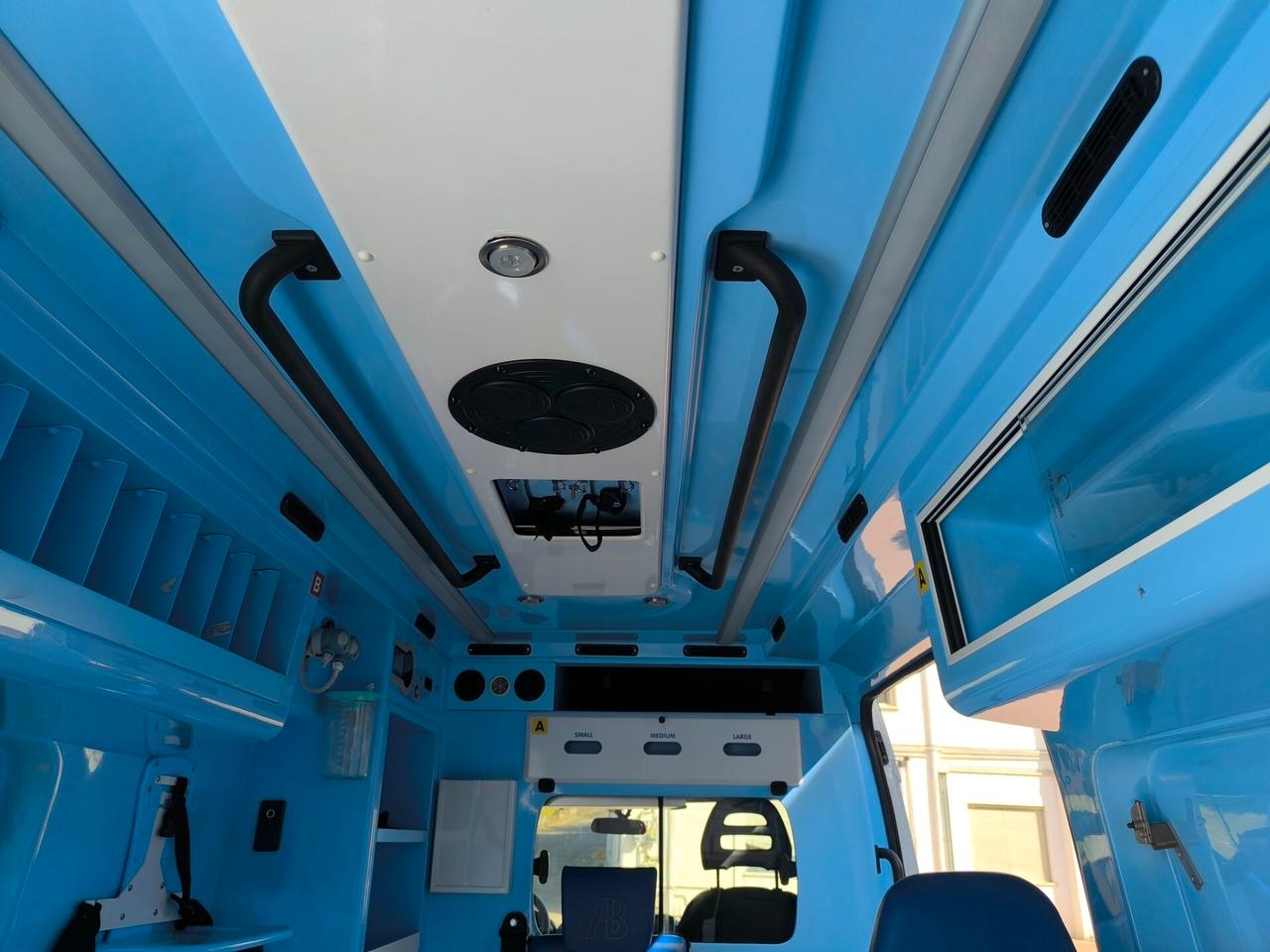 Fiat Ducato 33 2.3 MJT 150CV PC-TM Furgone