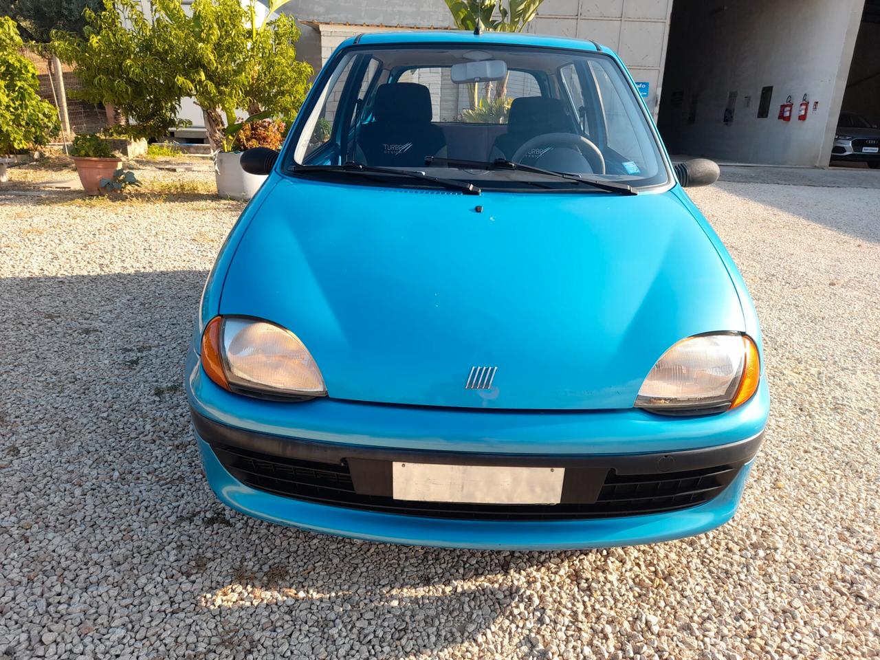 Fiat Seicento 900i cat Fun