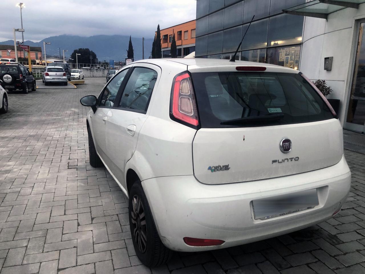 Fiat Punto 1.4 8V 5 porte Natural Power Lounge