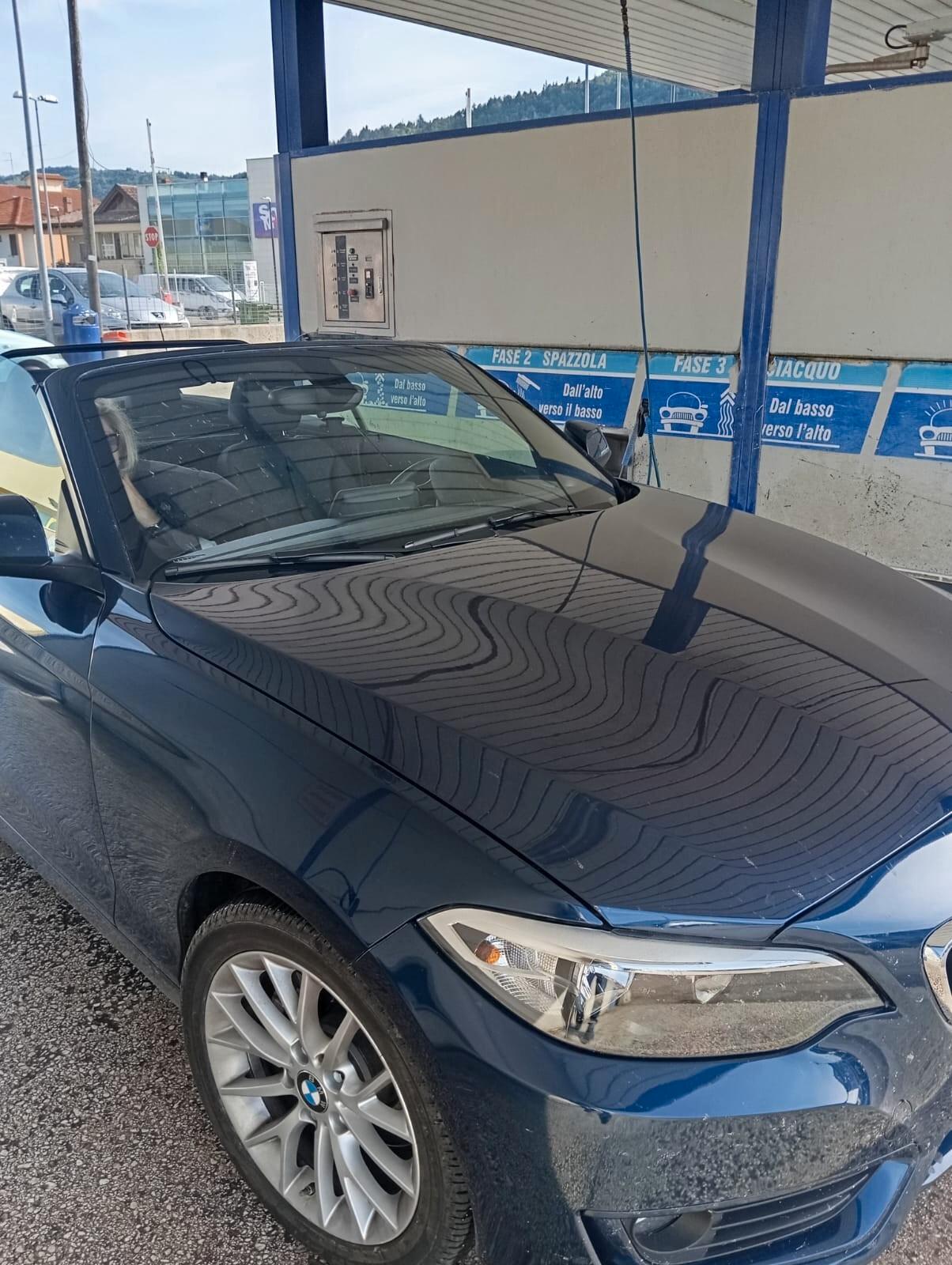 Bmw 220 220d Cabrio Advantage