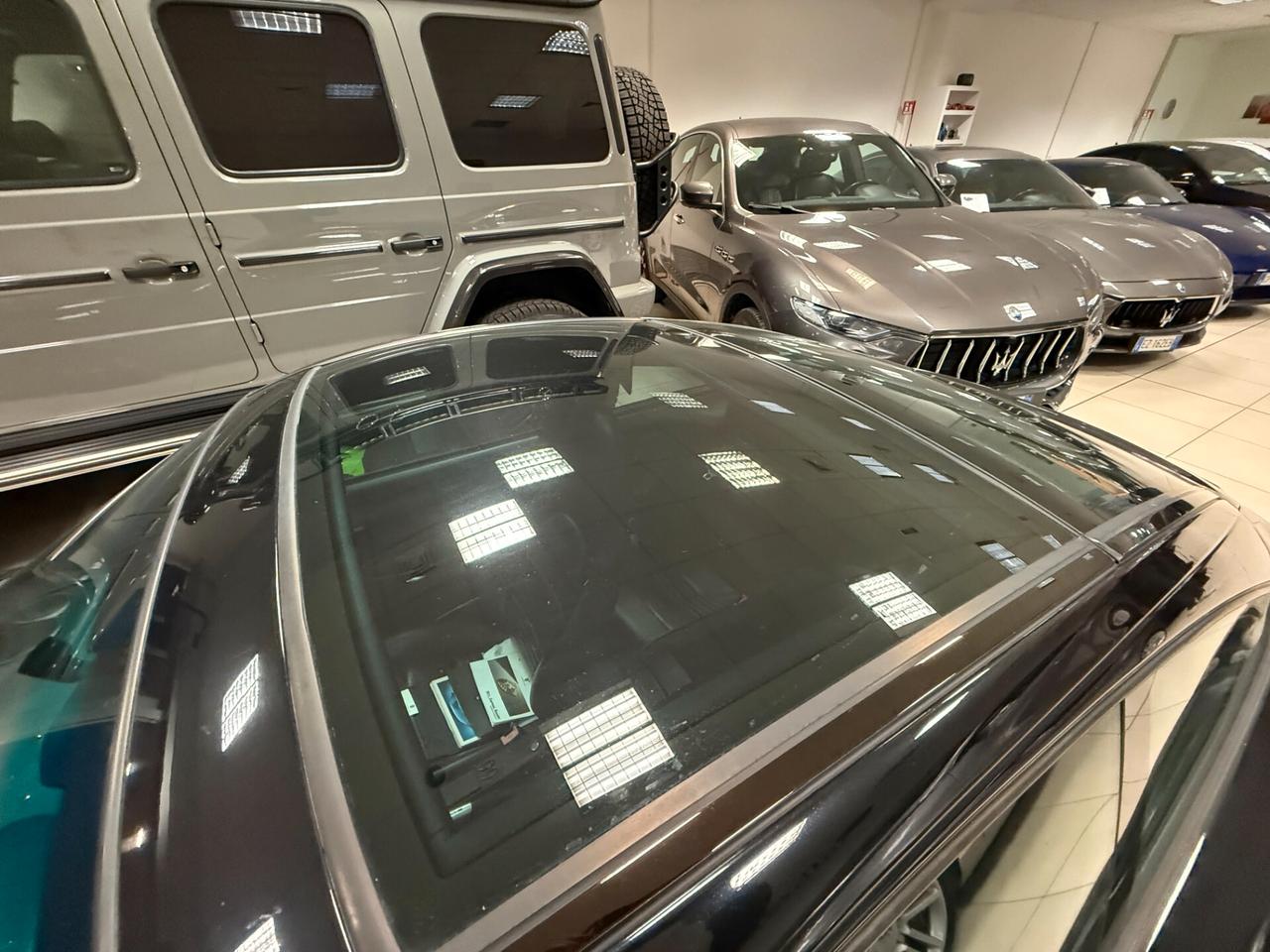 Porsche 911 Targa cat