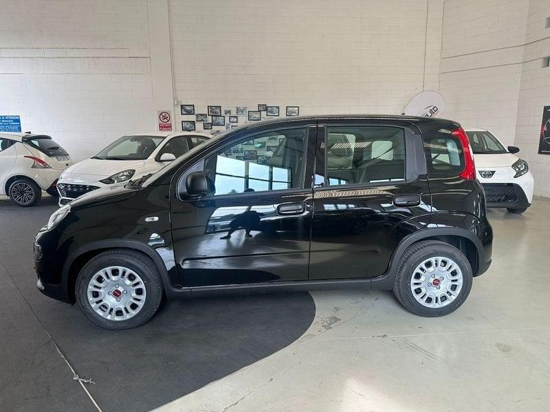 FIAT Panda 1.0 FireFly S&S Hybrid - PROMO SIRONIAUTO+