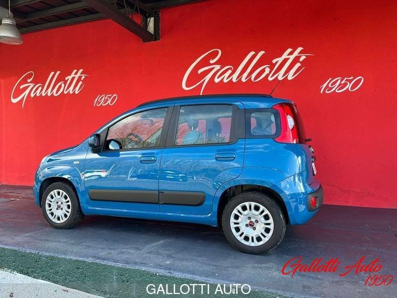 FIAT Panda 1.2 69cv Easy
