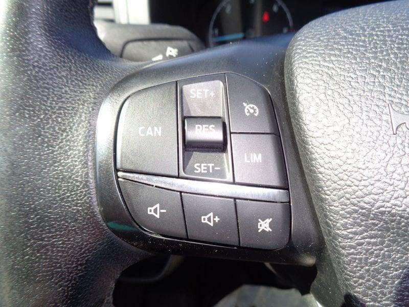 Ford Transit Custom Transit Custom 300 2.0 EcoBlue 130 aut. L2H2 Trend +IVA