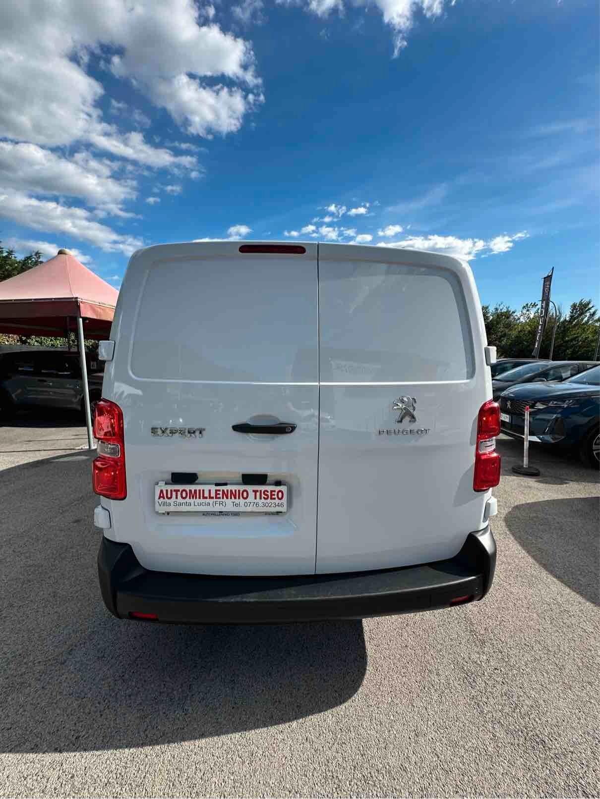 PEUGEOT EXPERT BHDI 100 CV PRO-LONG ALLESTITO FRESCO
