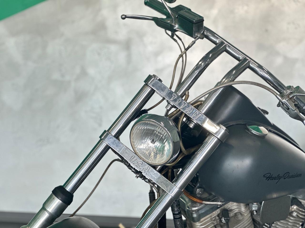 Altro Altro Titan Coyote - Harley Davidson Softail