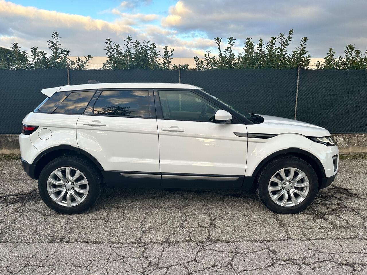 Land Rover Range Evoque 2.0 TD4 180 CV 5p. Business Edition Pure