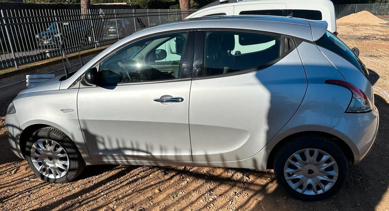 Lancia Ypsilon 1.3 MJT 16V 95 CV 5 porte Elefantino CLIMA MULTIFUNZIONE PDC