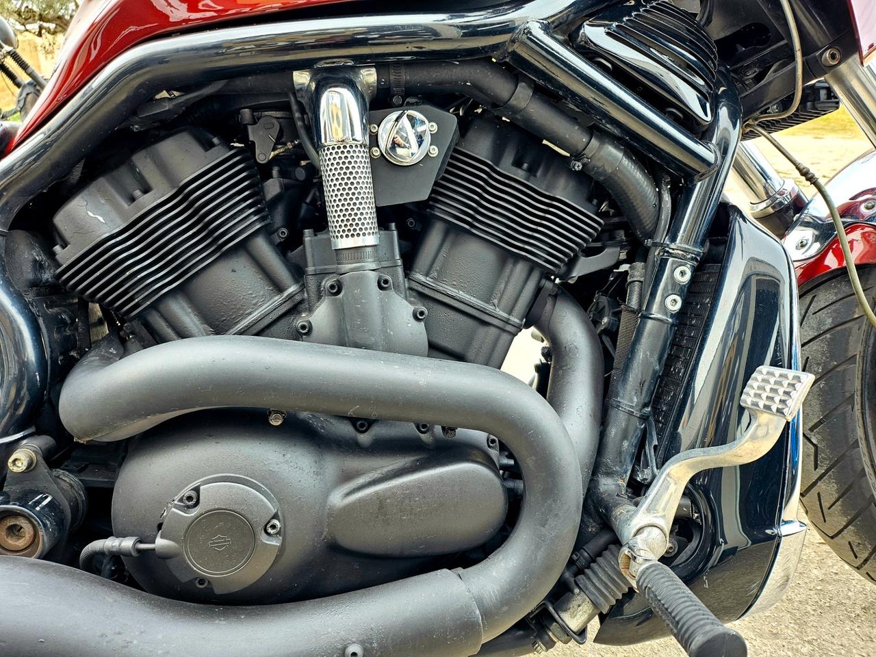 Harley-Davidson V Rod