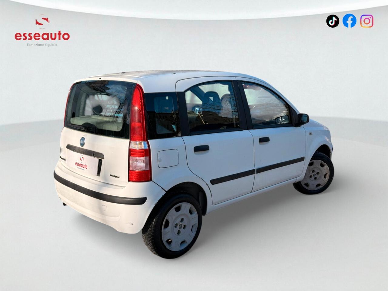 Fiat Panda 1.3 MJT Van Dynamic 4 posti (N1)