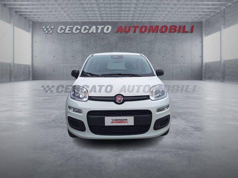 FIAT Panda Panda 1.0 firefly hybrid s&s 70cv