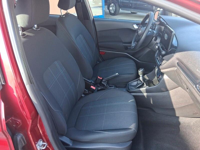 Ford Fiesta 1.5 EcoBlue 5 porte Business (684)
