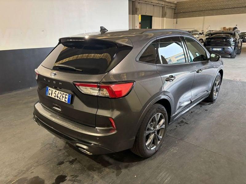 Ford Kuga Kuga 2.0 EcoBlue 120 CV aut. AWD ST-Line