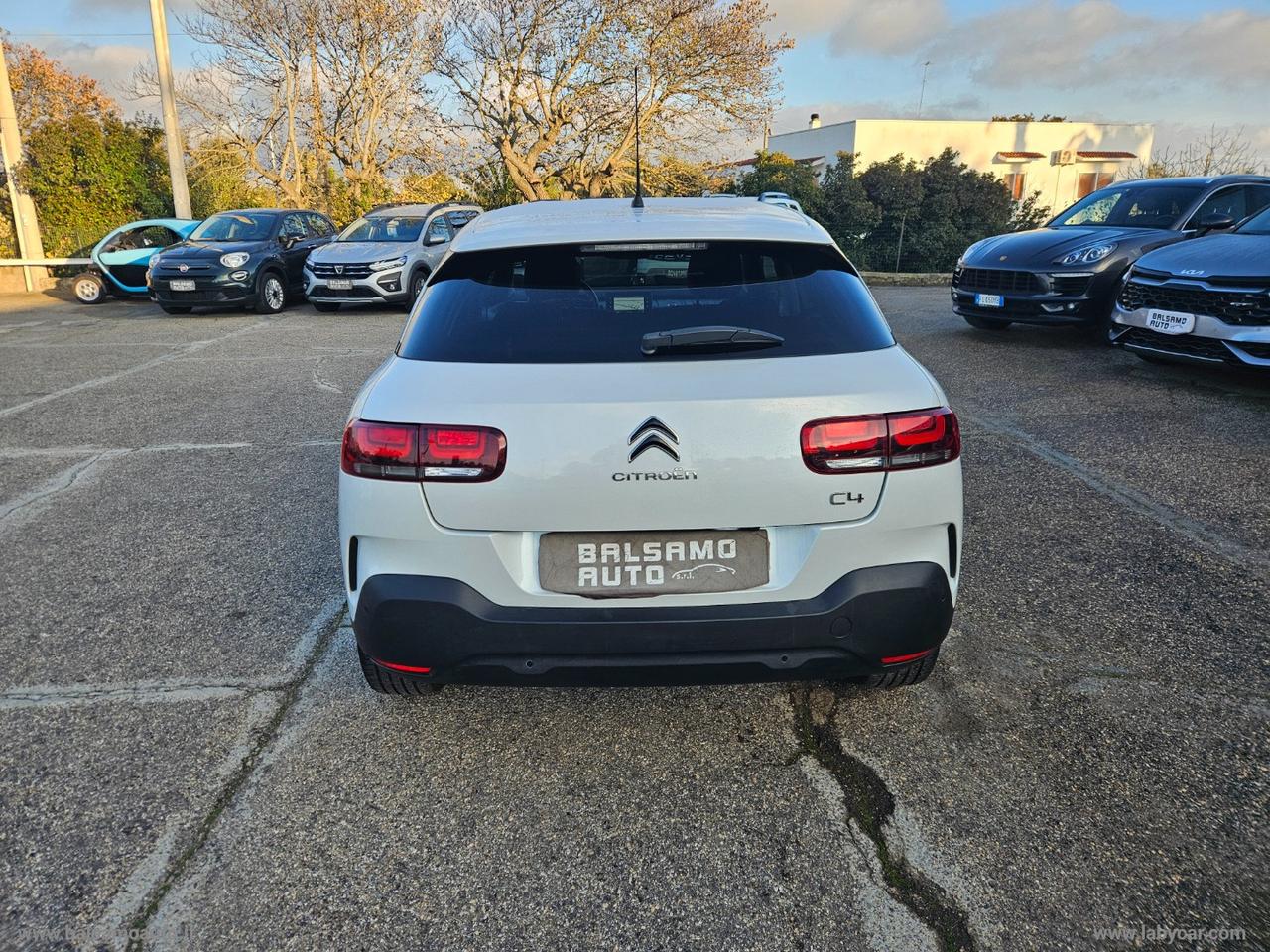 CITROEN C4 Cactus BlueHDi 100 S&S Shine N1