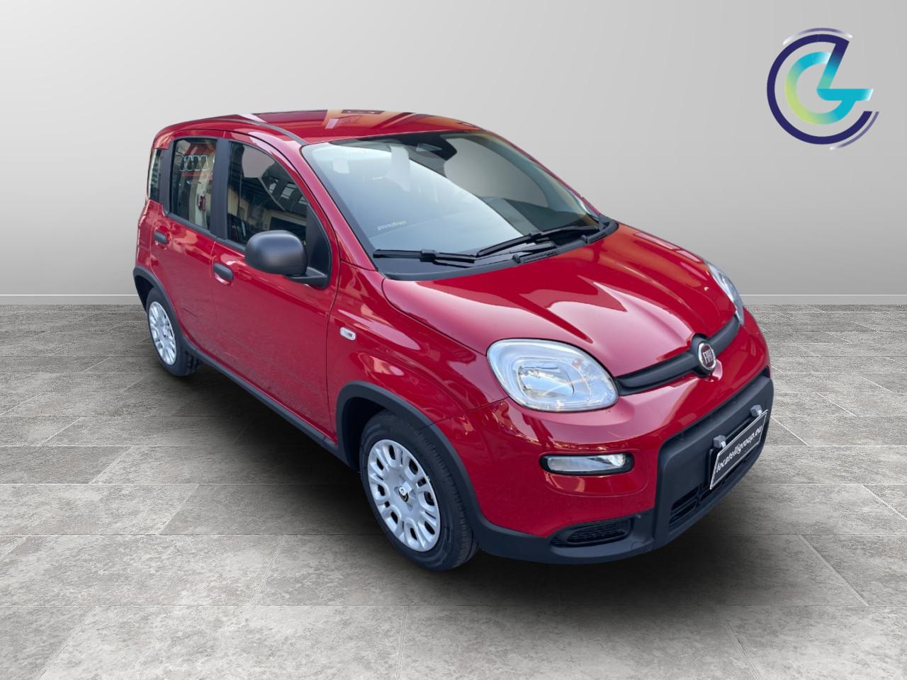 FIAT Panda III 2024 - Panda 1.0 firefly hybrid s&s 70cv