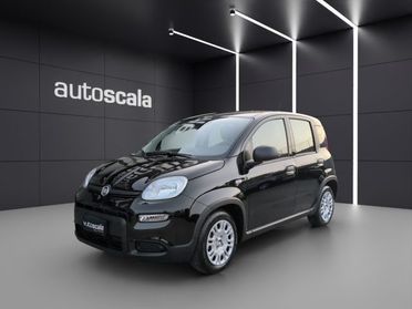 FIAT Panda 1.0 FireFly S&S Hybrid Pandina