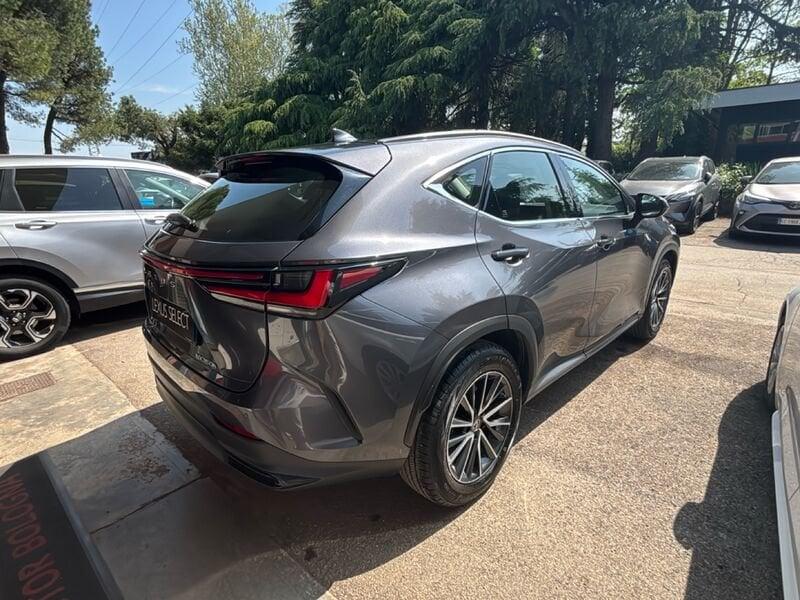 Lexus NX Hybrid Business 4WD