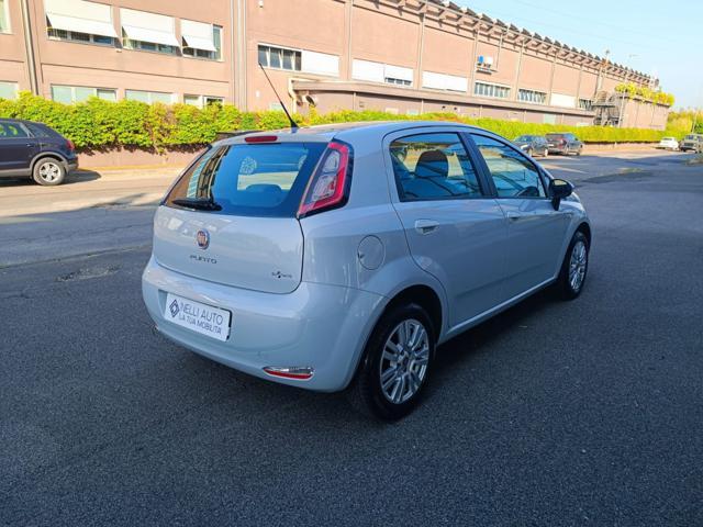 FIAT Punto 1.3 MJT II 75 CV 5 porte Easy