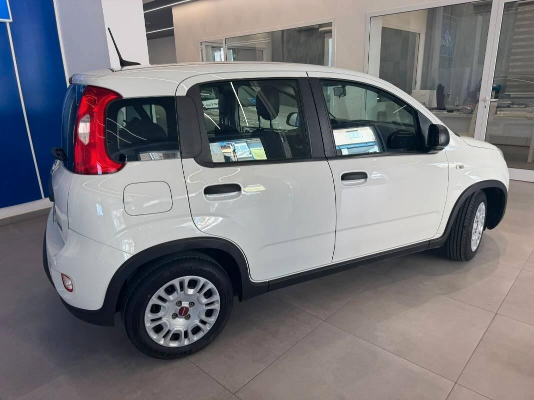 Fiat Panda 1.0 firefly hybrid s&s 70cv