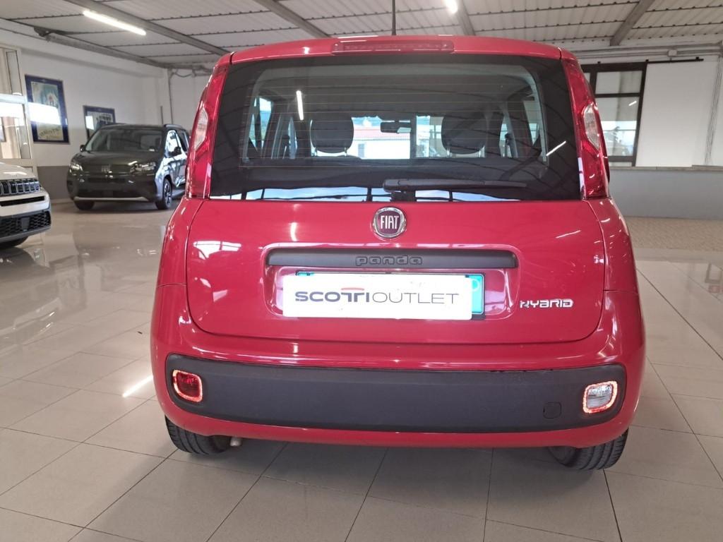 FIAT Panda III 2021 - Panda 1.0 firefly hybrid s&s 70cv