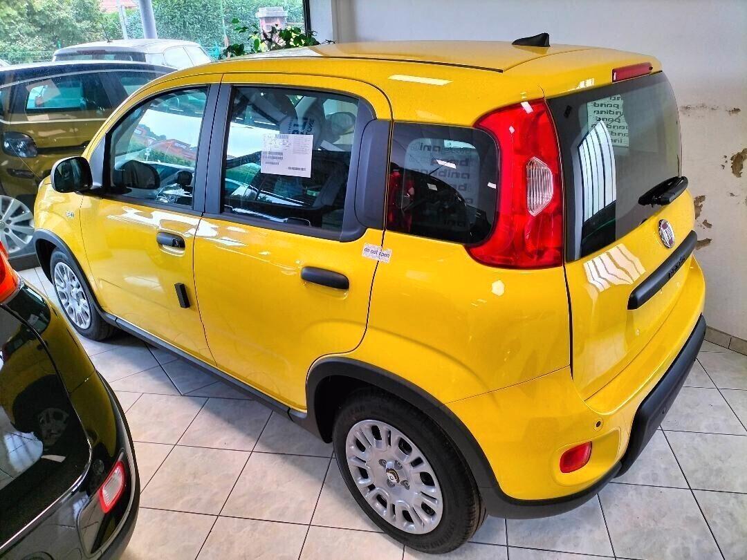 Fiat Panda Pandina 1.0 65 CV Hybrid POP FINANZ.+ ROTT.