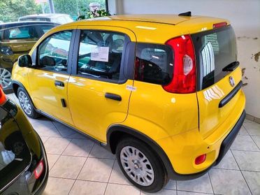 Fiat Panda Pandina 1.0 65 CV Hybrid POP FINANZ.+ ROTT.