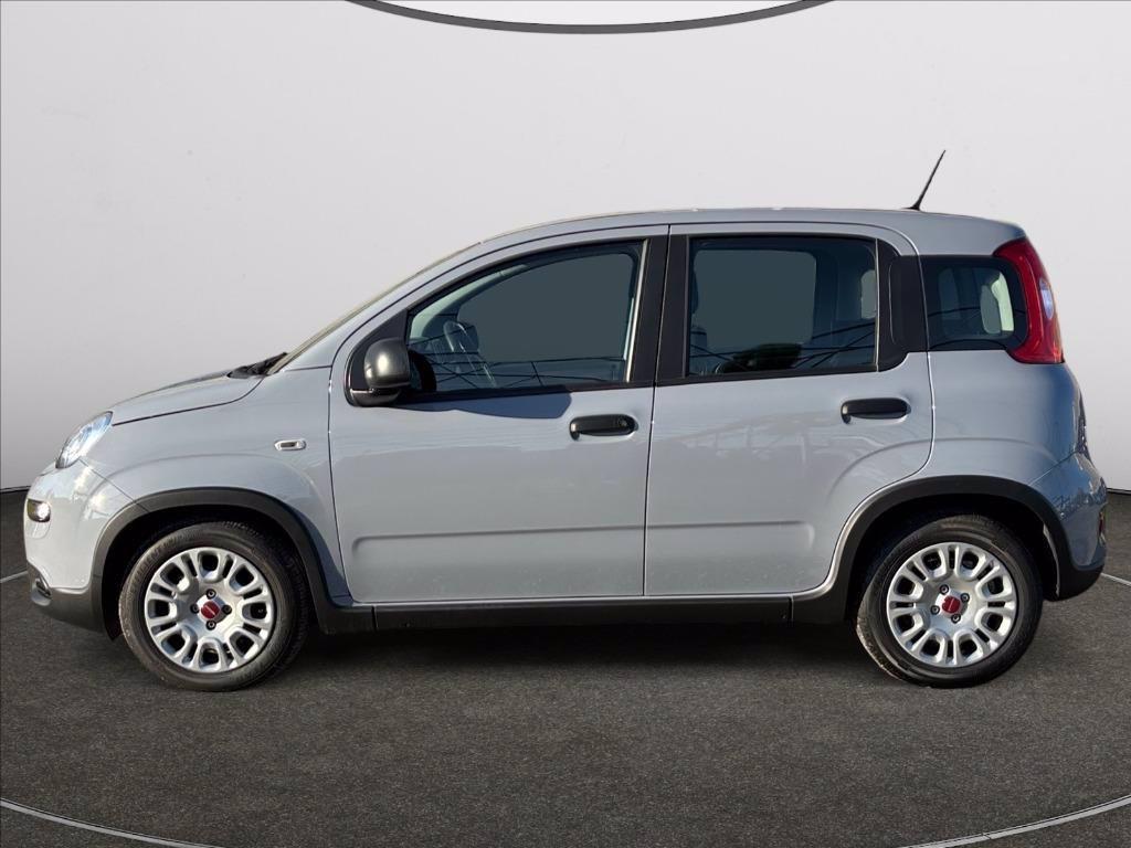 FIAT Panda 1.0 firefly hybrid s&s 70cv del 2023